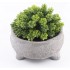 Plastic plant flower PPF20127