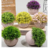 Plastic plant flower PPF20122