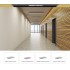 board  Decorative
